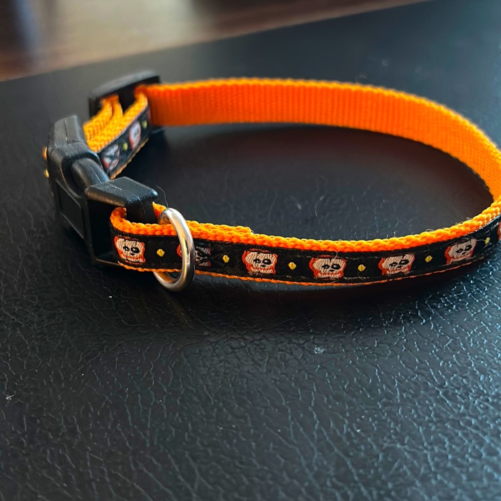 🔥3 for $10🔥Halloween Small dog/cat collar - like new